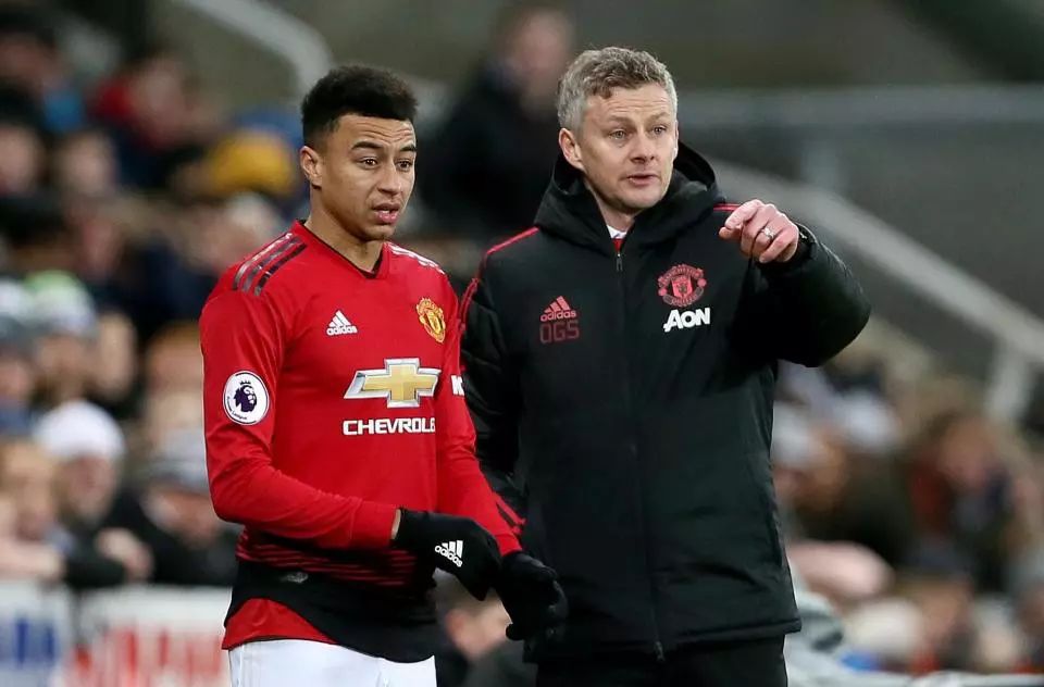 并带来了大 并带来了大